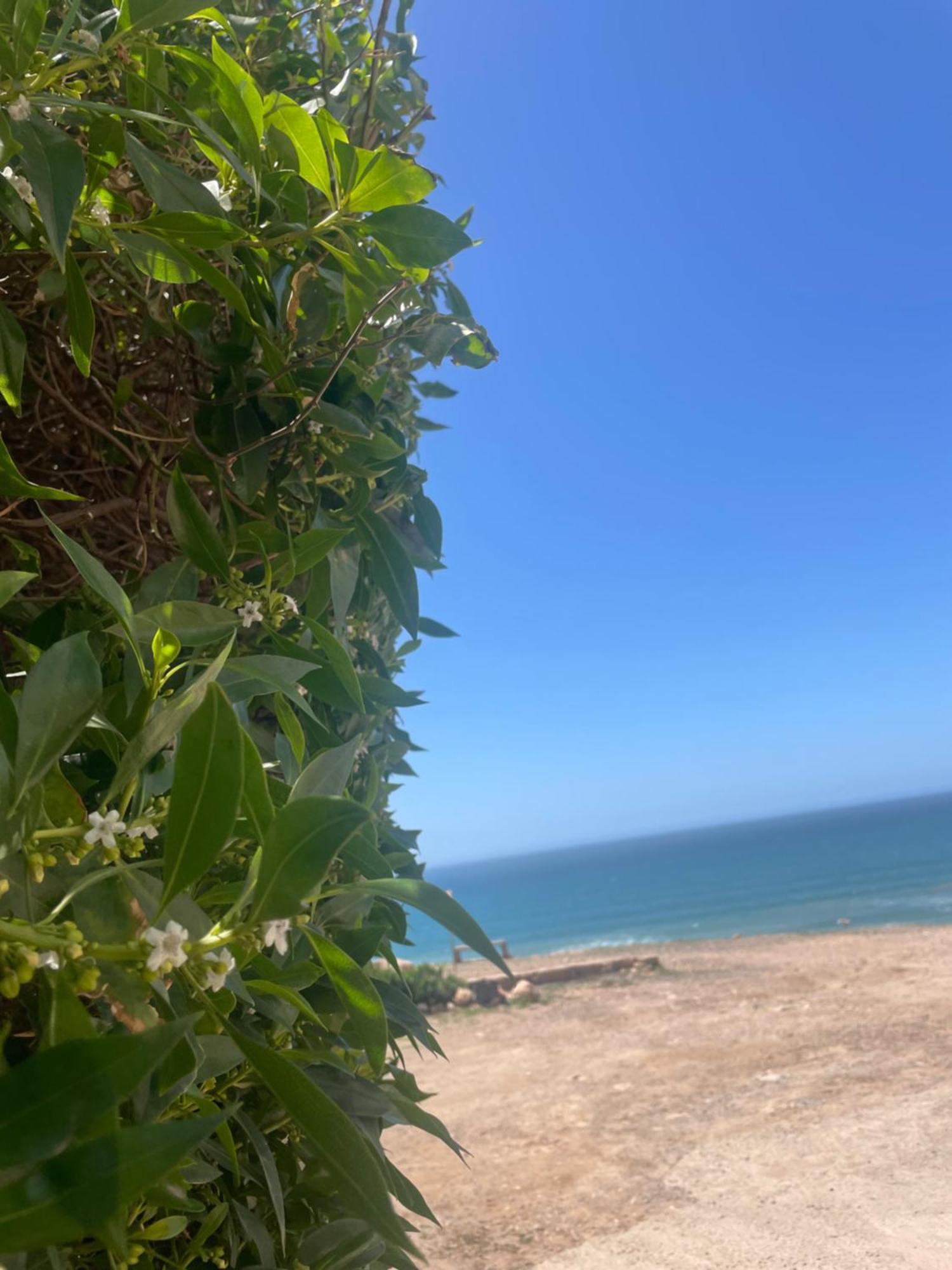 Tama ou Ennza The Moroccan Surf House מראה חיצוני תמונה